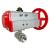 Air/Manual</br>Rack & Pinion
