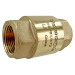 1/4" Brass  Spring Check Valve, NPT